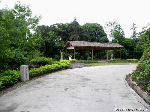 河源新豐江國家森林公園圖片