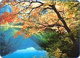 九寨溝黃龍圖片