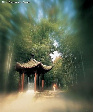 西湖雲棲竹徑（新十景）圖片
