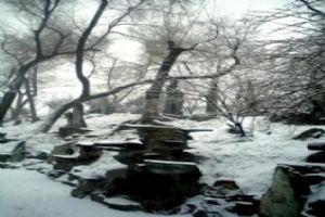 北京恭王府雪景圖片