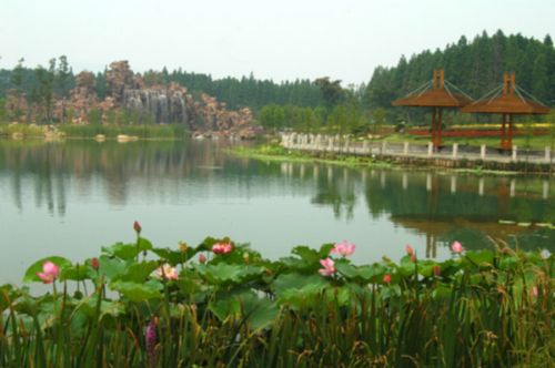 尚湖風景區圖片