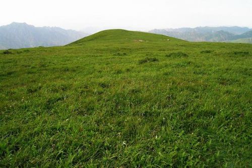 靈山圖片