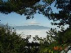 萬花山