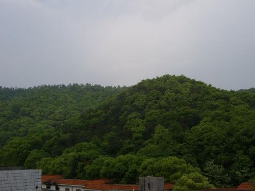 嶽麓山圖片