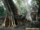 高棉神秘的塔布隆寺