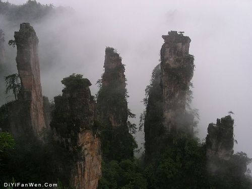 天子山風情圖片