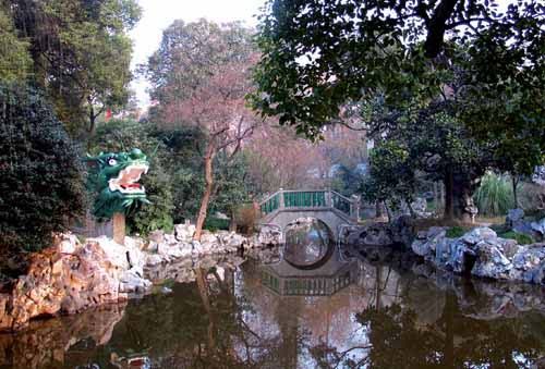 丁香花園圖片