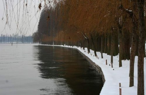 武漢東湖2008的雪圖片