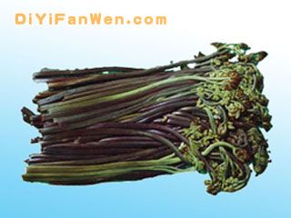 春天了 多吃點野菜好！(組圖)