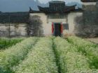 婺源
