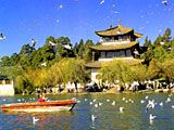 翠湖圖片