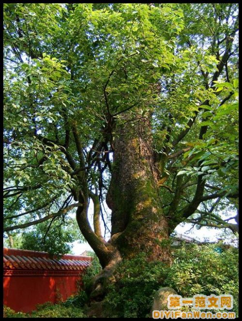 湖南南嶽廟圖片