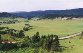 仙女山風景圖片