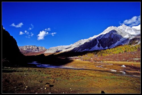 四川洛絨牛場圖片