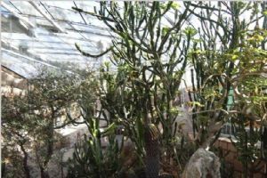 北京市植物園組圖（1）圖片