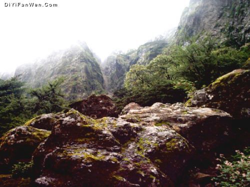 雲南祿勸轎子雪山圖片