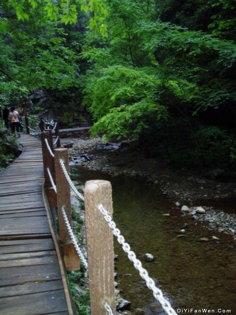 陝西金絲大峽谷圖片