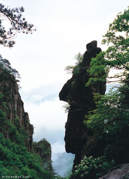 括蒼景區圖片