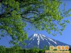 富士山風光