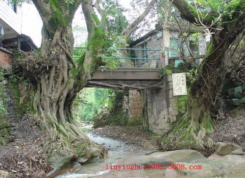 偏岩古鎮圖片