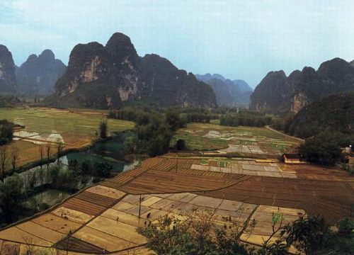 廣西明仕田園美景圖片