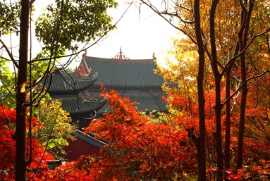 龍興講寺圖片