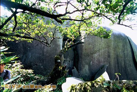 大容山森林公園圖片