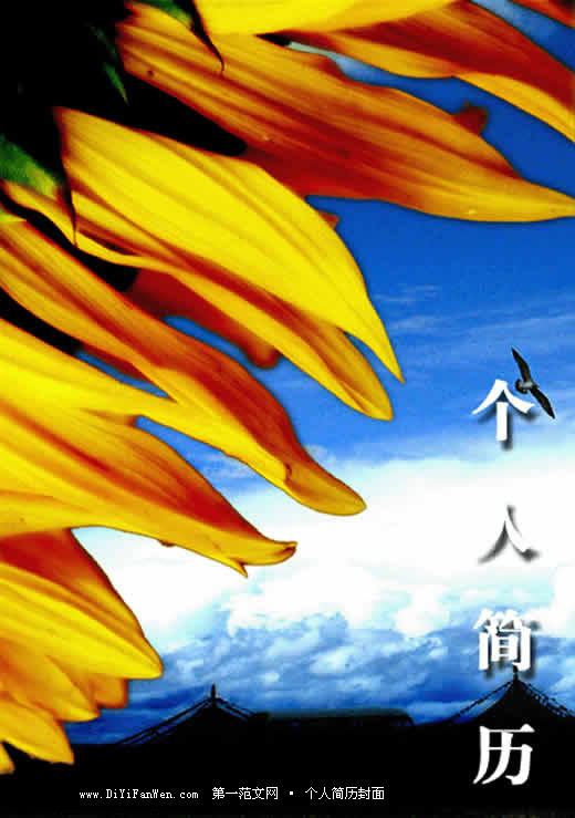 色彩鮮艷的個人簡歷封面