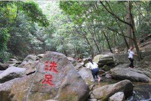 鼎湖山圖片