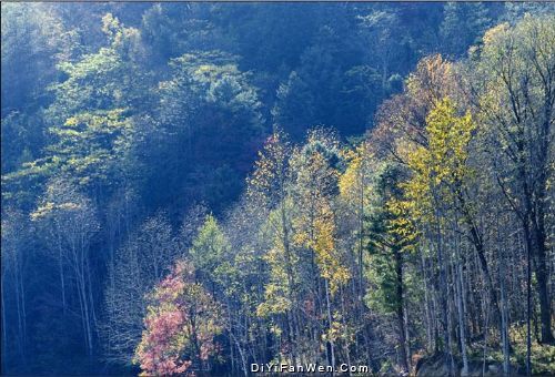 冰湖溝風光圖片