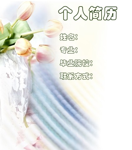 軟體技術專業個人簡歷封面