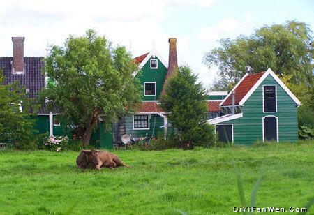 荷蘭鄉村風光圖片