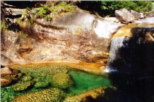 黃山翡翠谷圖片（1）圖片