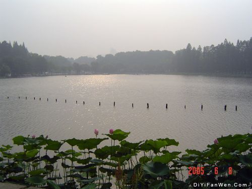 東湖圖片