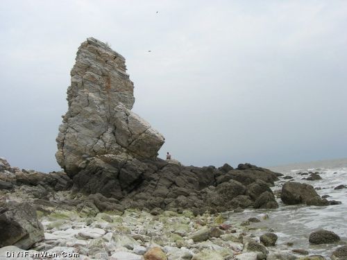 秦山島圖片