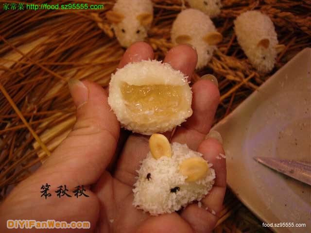 燕窩小白鼠