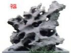 偶園