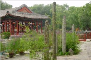 北京恭王府一角（組圖）圖片