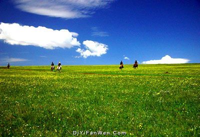 空中草原圖片