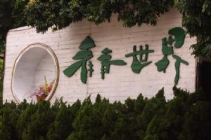 青青世界圖片