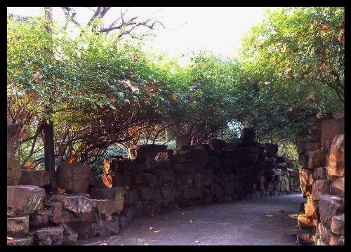 上海魯迅公園圖片