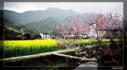 桃花源風景圖片