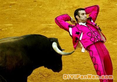 西班牙鬥牛圖片