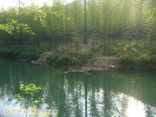 南山竹海度假區圖片