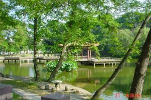 香山公園圖片（1）圖片