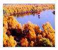 野雲溝遺址圖片