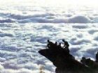 探海石雲海玉盤