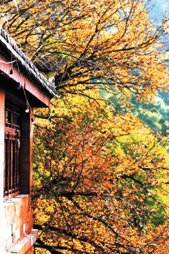泉州清源山風景圖片