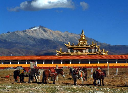 康定雅拉雪山下的塔公寺圖片