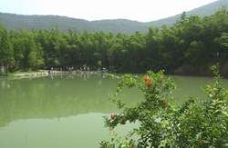 寶岩生態觀光園圖片